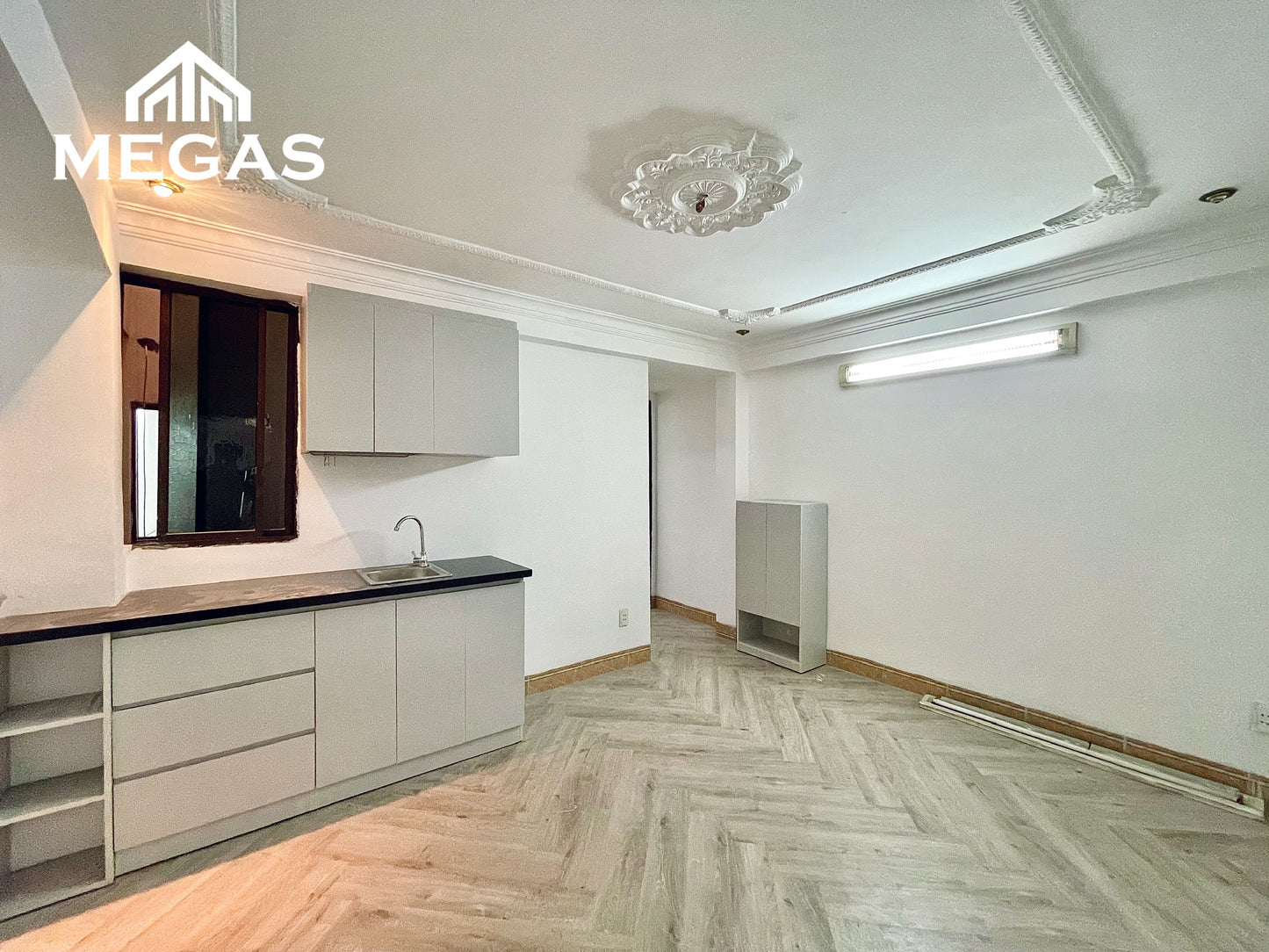 [010385]TS1PNSK-LG04