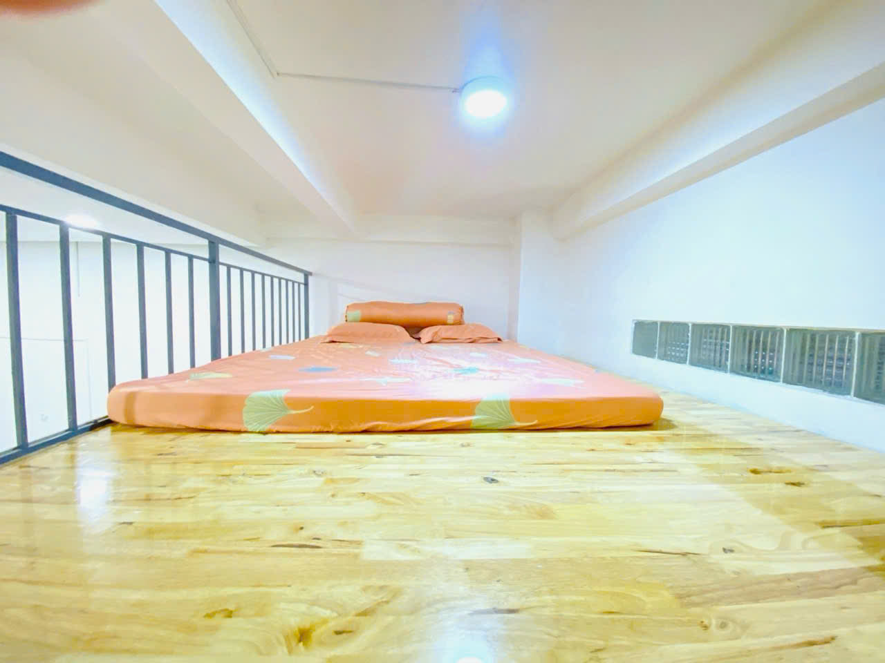 [010595]TSHDUPST-NM01