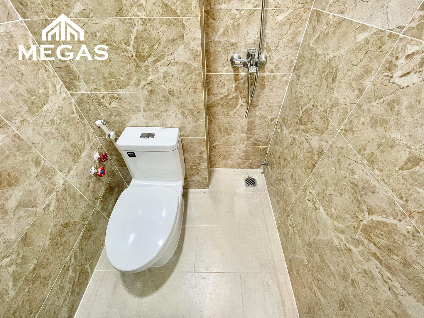 [011925]TLSTUSK-NM01